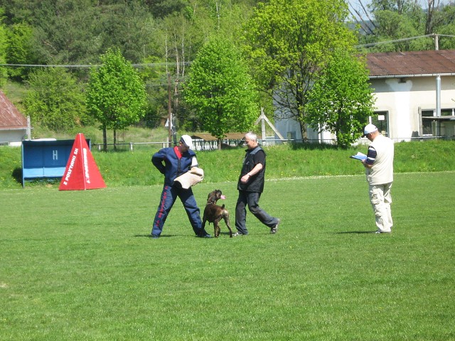 www.atibox.net * www.euroboxer.eu * www.boxergenealogia.eu